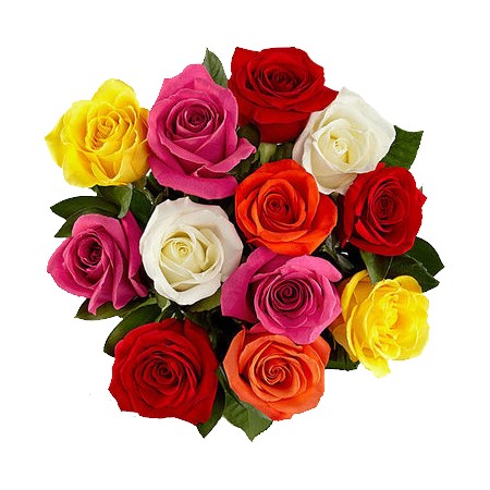 Rose Bouquet - 12 Stem (Assorted) 40Cm
