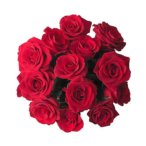 Rose Bouquet - 12 Stem (Red) 50Cm                                     